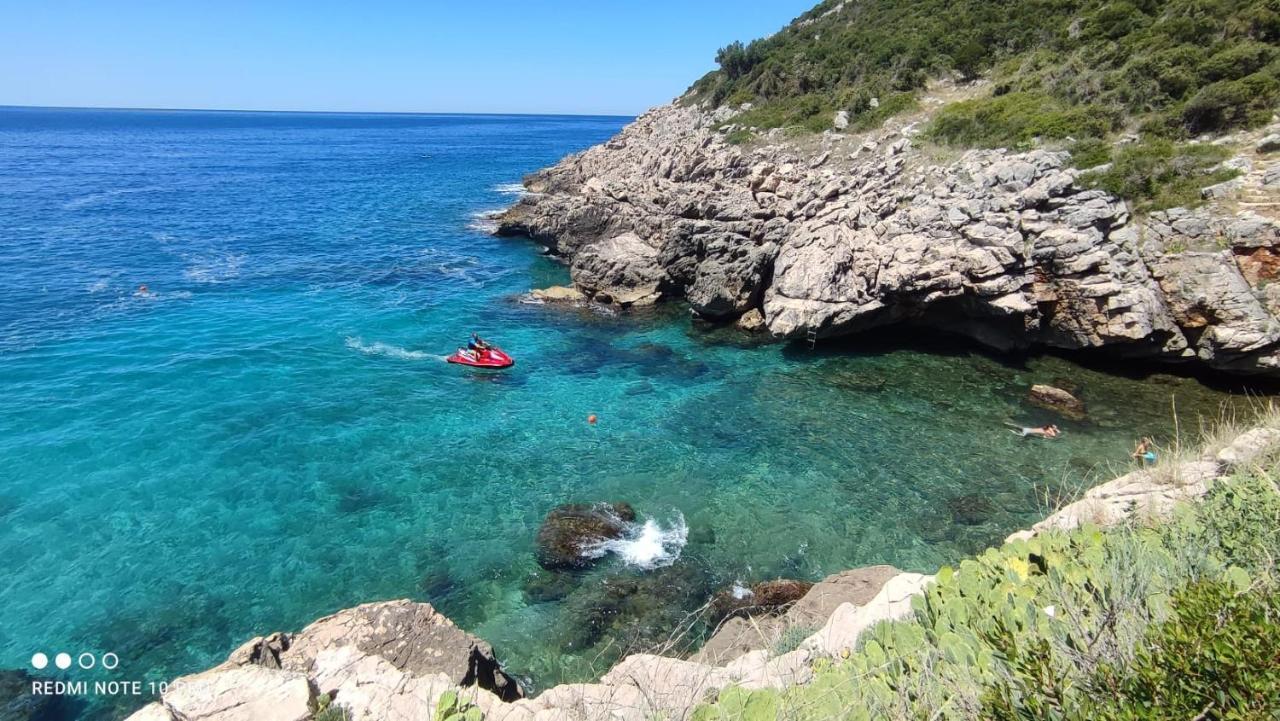 Novalic Hotel Dobra Voda Εξωτερικό φωτογραφία