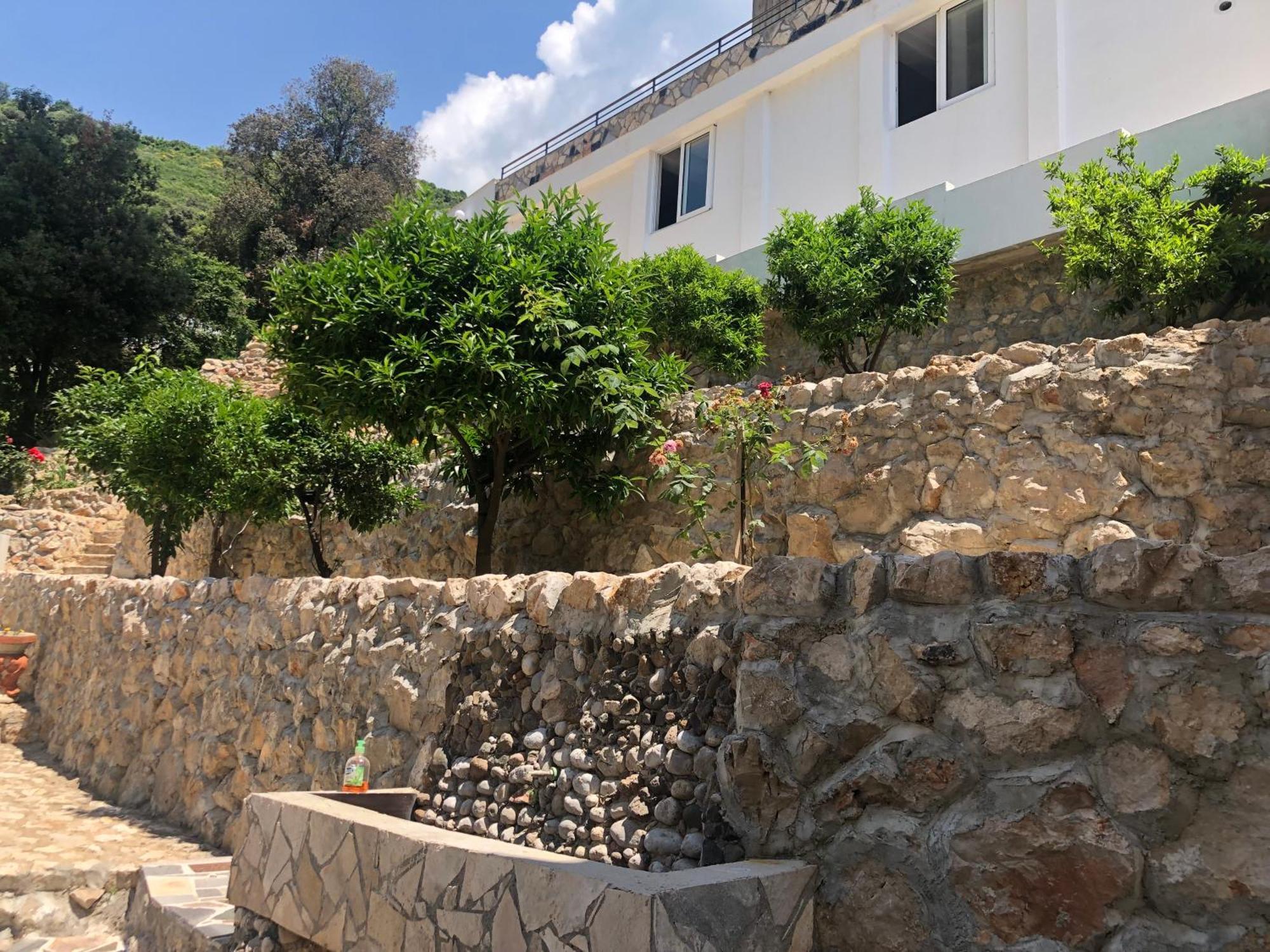 Novalic Hotel Dobra Voda Εξωτερικό φωτογραφία
