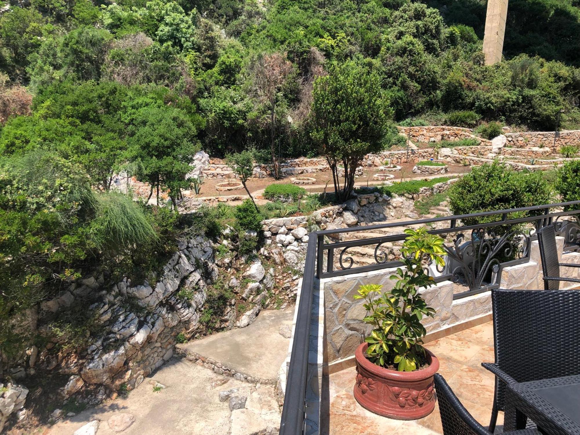 Novalic Hotel Dobra Voda Εξωτερικό φωτογραφία